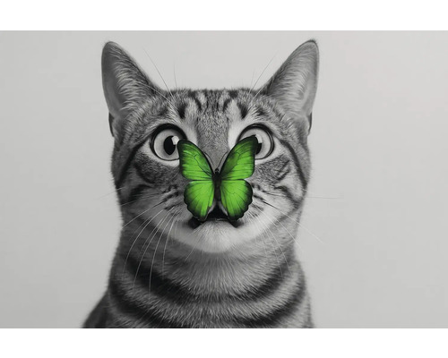 Un chat tigré avec un papillon vert sur le nez