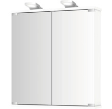 Armoire de salle de bain avec deux portes et éclairage