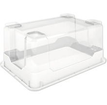 Boîte transparente avec couvercle