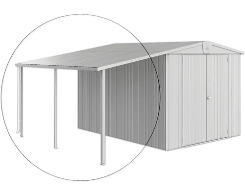 Toit latéral biohort remise à outils Europa 6/7 150 x 300 cm argent métallique Abri de jardin métallique avec auvent pour ranger outils de jardin et outils