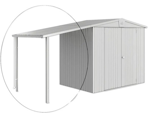 Toit latéral biohort remise à outils Europa 2/3/4A 150 x 156 cm argent métallique Abri de jardin métallique avec annexe pour outils de jardin et outils