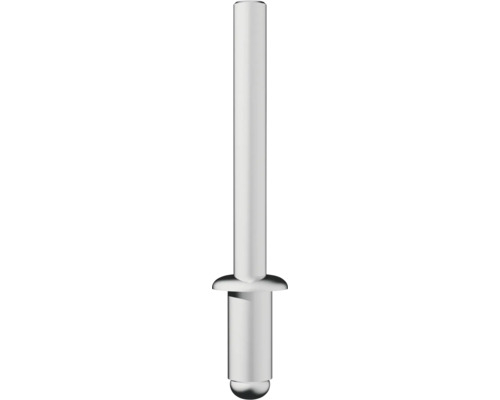 Rivets aveugles Novus acier Ø 4x10 mm 30 pièces Rivet aveugle pour les travaux de fixation