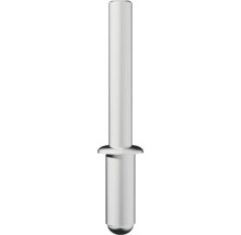 Rivet