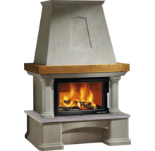 Cheminée avec foyer et feu de bois