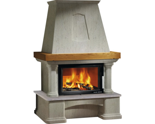 Cheminée avec foyer et feu de bois