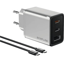 EcoFlow Ladegerät mit USB Kabel