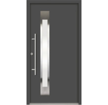 Moderne Haustür mit Edelstahlgriff und Glaseinsatz