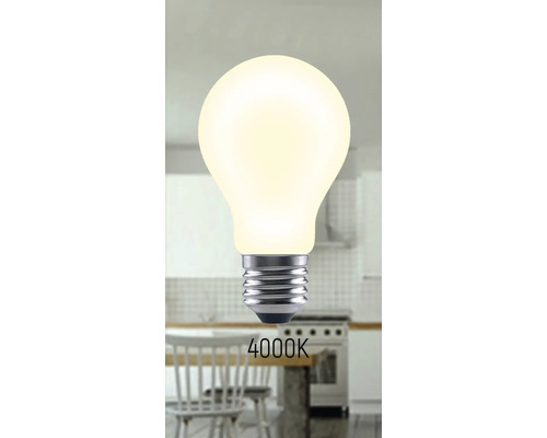 4000 Kelvin Lampe