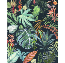 Illustration de différentes feuilles tropicales