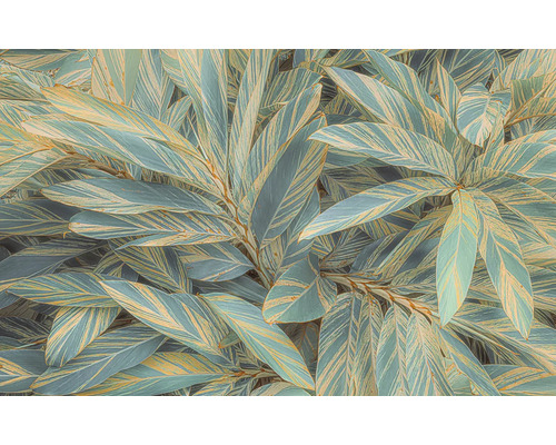 Papier peint panoramique intissé PSH111-VD4 Amazonia Vibes 4 pces 400 x 250 cm Gros plan de plantes de gingembre aux feuilles rayées.