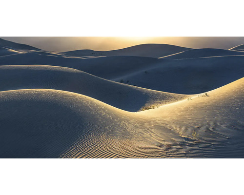 Papier peint panoramique intissé PSH105-VD5 Body Lines 5 pces 500 x 250 cm Paysage de dunes avec des vagues de sable et une végétation clairsemée