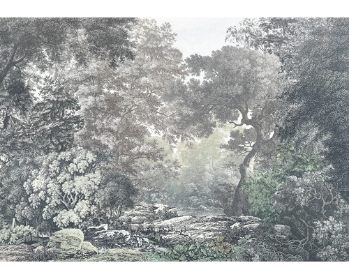 Papier peint avec motif de forêt