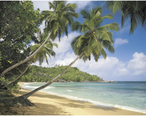 Plage tropicale avec des palmiers et de l'eau claire
