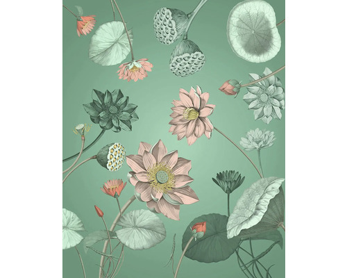 Illustration von Lotusblüten und -blättern auf einfarbigem Hintergrund