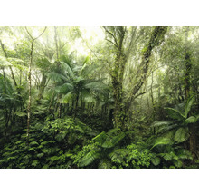 Forêt tropicale dense avec une végétation luxuriante