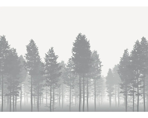 Illustration eines dichten Waldes im Nebel