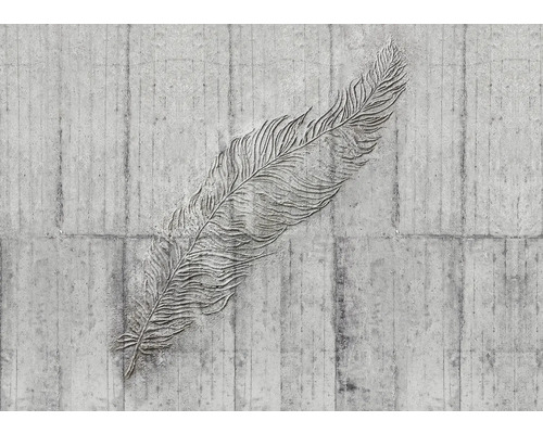 Papier peint panoramique intissé X7-1023 Concrete Feather 7 pces 350 x 250 cm Mur en béton avec relief de plume