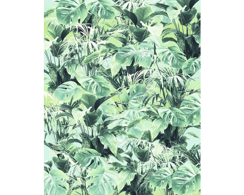 Illustration de feuilles tropicales pour la décoration murale