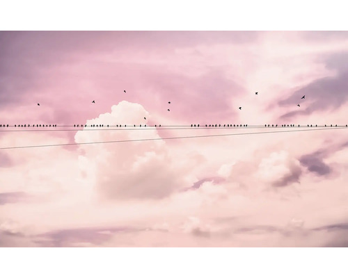 De nombreux oiseaux sont perchés sur une ligne électrique devant un ciel nuageux.