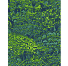 Papier peint avec motif de plumes
