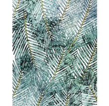Illustration de feuilles de palmier comme motif décoratif