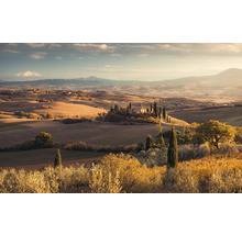Paysage toscan avec des cyprès et une ferme sur une colline