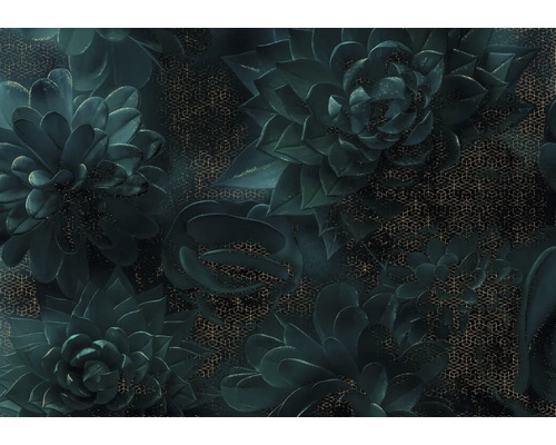 Papier peint avec motif de plantes grasses et design géométrique