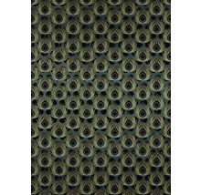 Papier peint avec motif de plumes de paon