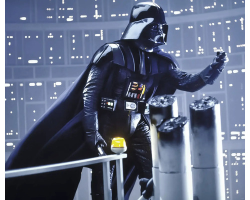 Papier peint panoramique intissé DX6-071 Disney Edition 4 Star Wars Classic Dark Side 6 pces 300 x 250 cm Figurine Dark Vador avec lumière