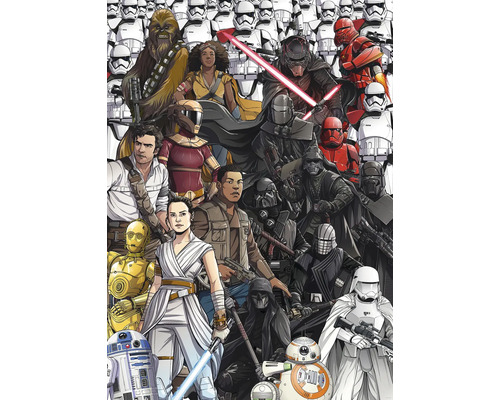 Illustration de différents personnages de Star Wars