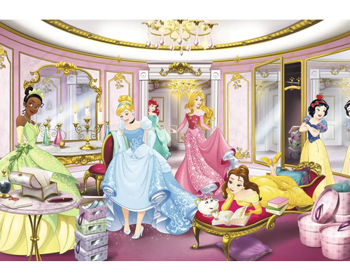 Papier peint panoramique papier 8-4108 Disney Edition 4 Princess Mirror 8 pces 368 x 254 cm Scène avec différentes princesses Disney dans une pièce