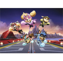 Paw Patrol Superhelden im Flug vor einer Stadtkulisse