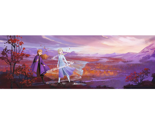 Papier peint panoramique 4-4104 Disney Edition 4 Reine des neiges Panorama 8 pces 368 x 127 cm Scène du film La Reine des neiges 2 avec Anna et Elsa dans un paysage automnal