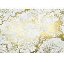 Fond abstrait avec texture de marbre