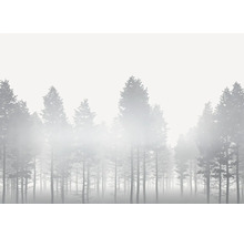 Forêt embrumée