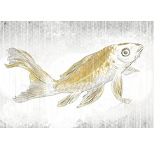 Illustration d'un poisson