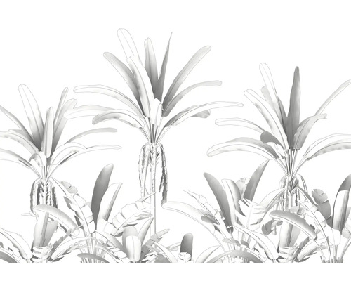 Illustration von Palmen und tropischen Pflanzen