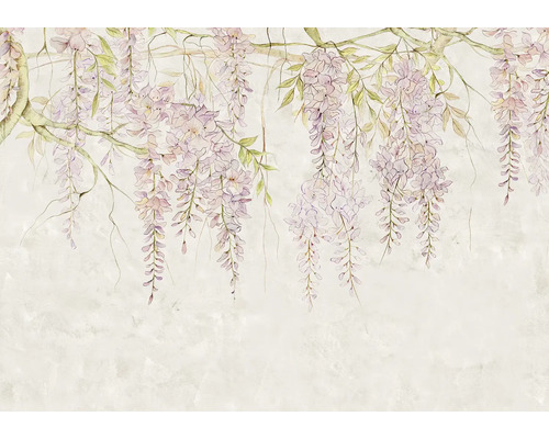 Illustration von Glyzinienblüten an Ästen