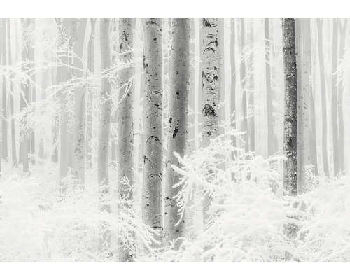 Winterlandschaft mit Bäumen und Schnee