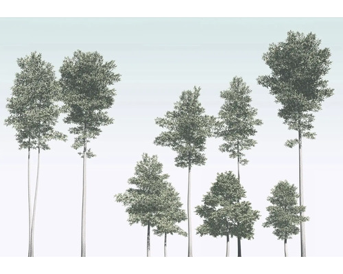 Illustration verschiedener Laubbäume