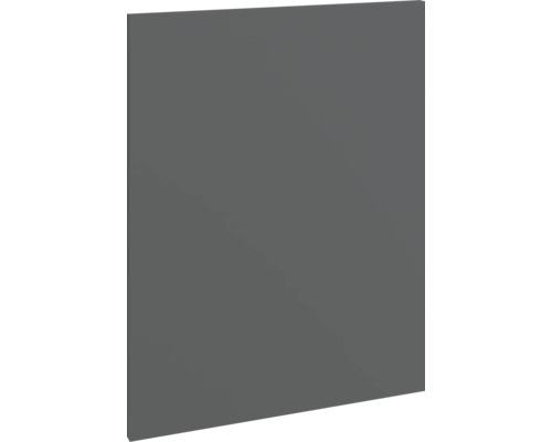 PICCANTE Smart Cache de lave-vaisselle pour lave-vaisselle partiellement encastré PICCANTE Smart lxpxh 44,6 x 1,6 x 57,2 cm anthracite mat démonté P420 T4557-2 Porte de placard