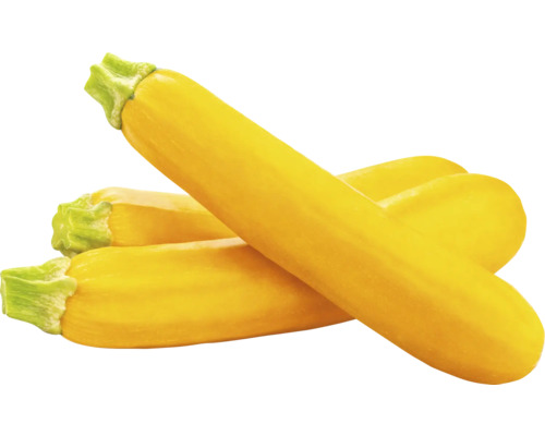 Courgette jaune