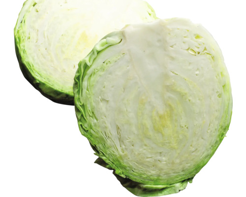 Deux moitiés de choux blancs