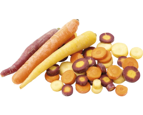Carottes multicolores et rondelles de carottes
