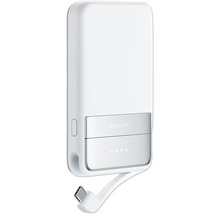 EcoFlow Logo Powerbank avec câble USB-C