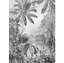Illustration d'un paysage tropical avec des palmiers et une végétation luxuriante