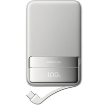 EcoFlow Powerbank avec câble