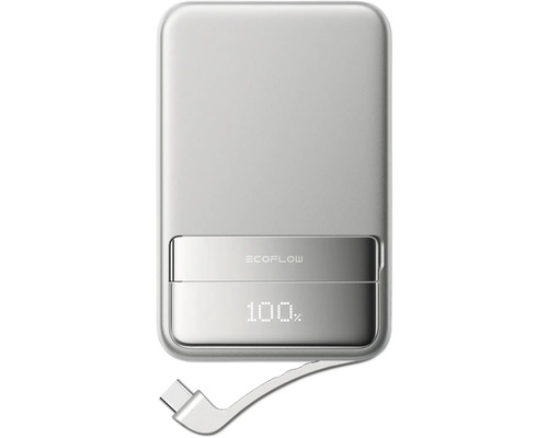 EcoFlow Powerbank avec câble