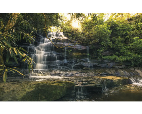 Kaskadenwasserfall im Wald mit üppiger Vegetation