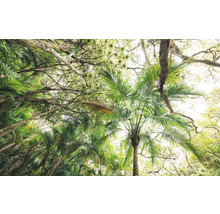 Vue de dessous d'arbres aux feuilles vertes